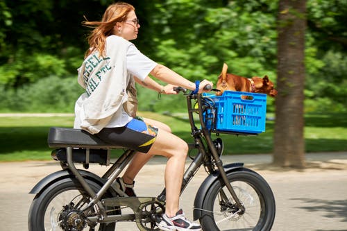  AVP betaalt de door Fleur op een fatbike veroorzaakte schade