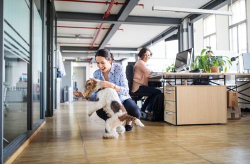 Gebeten door een hond tijdens werk: hoe zit het met aansprakelijkheid en schadevergoeding?