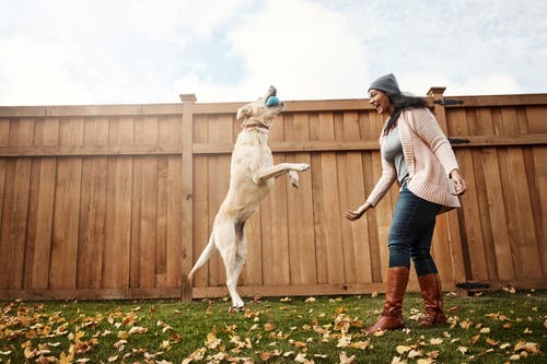 
 Overlast door blaffende honden: wat kun je dan doen?
 